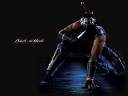 gaiden_black1024_768.jpg