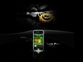 iPhone Wallpapers