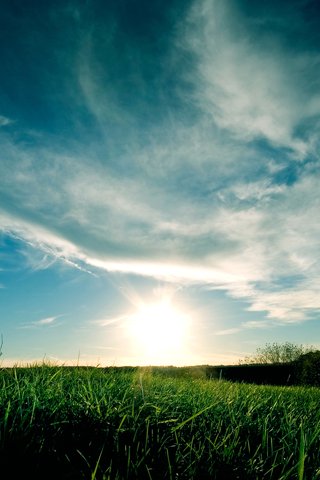 iPhone Wallpapers