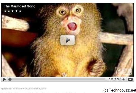 quietube, youtube, clean, peace, quiet, design quietube, youtube, clean, peace, quiet, design