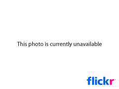 Download & Save Flash Animation Files in Firefox or IE