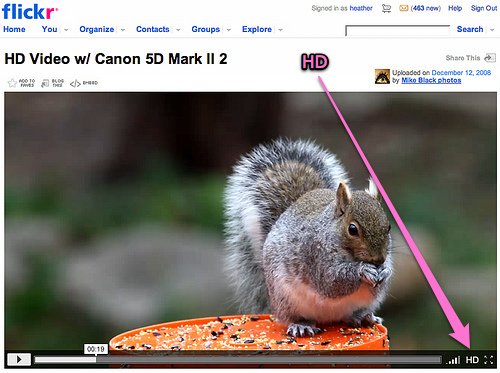 Flickr Video Now Available to All