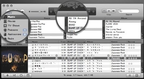 Download & Install iTunes Skins
