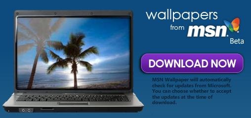 1000+ Cool Wallpapers From MSN