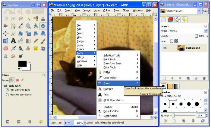 gimp-19