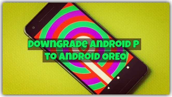 Downgrade Android P Beta to Android OREO