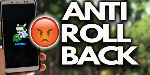 anti roll back